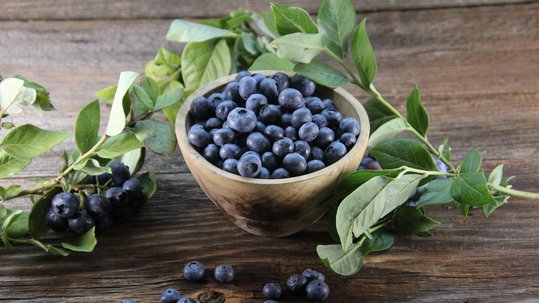 Heidelbeeren als Beerenobst