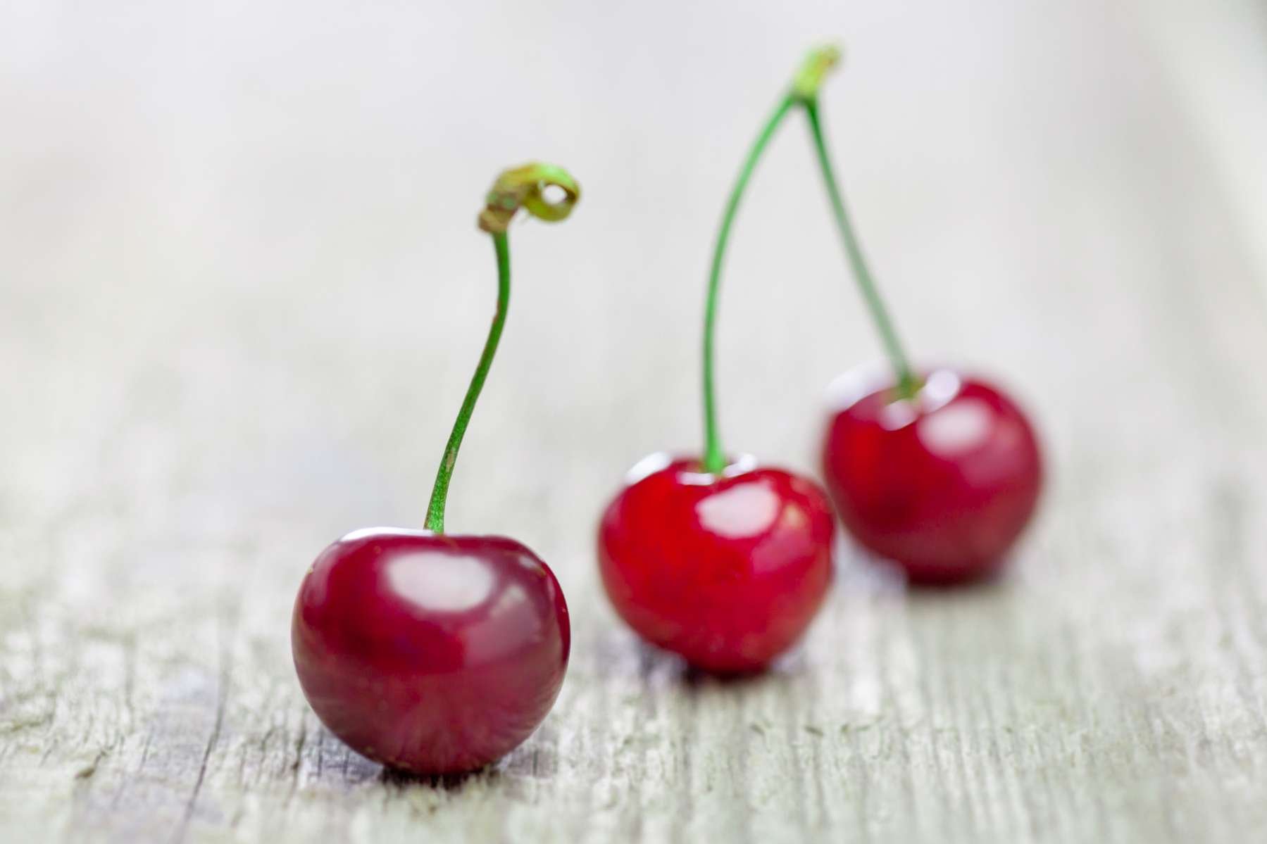 Kirsche Landwirtschaft verstehen