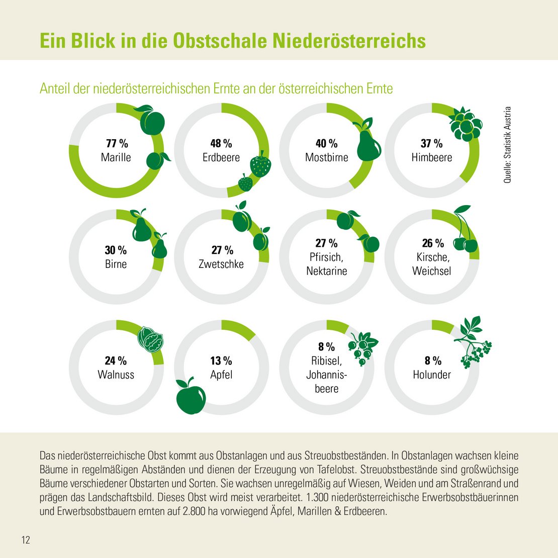 Infografik der Zahlen-Daten-Broschüre der Landwirtschaftskammer Niederösterreich zu Obstanlagen und Streuobst