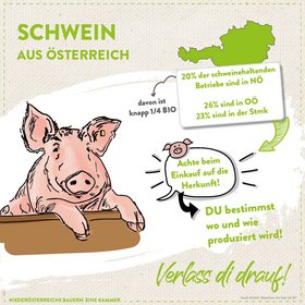 Schwein aus Österreich
