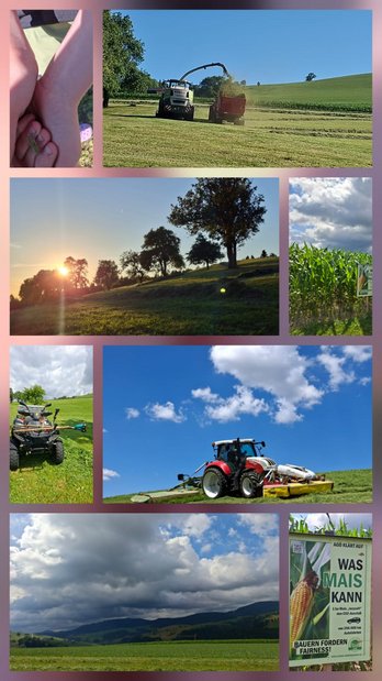 Fotocollage mit Mais, Ernte, Heu, Streuobstwiese