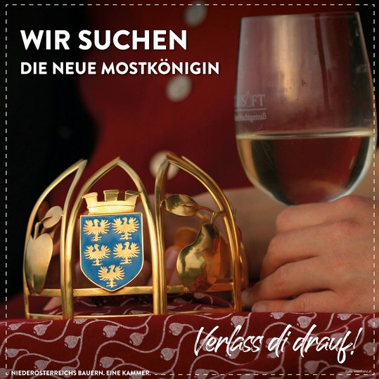 Wir suchen die neue Mostkönigin