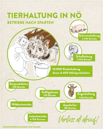 Fakten zur Tierhaltung in Niederösterreich grafisch aufbereitet