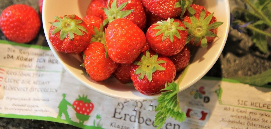 Erdbeeren mit AMA-Gütesiegel ©Elisabeth Heidegger/LK Niederösterreich