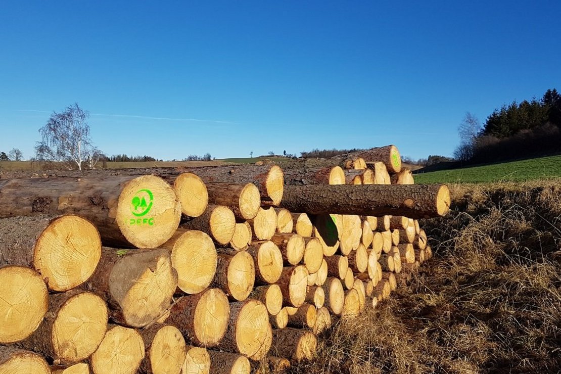 PEFC-Logo ©Fotoarchiv LK Forst