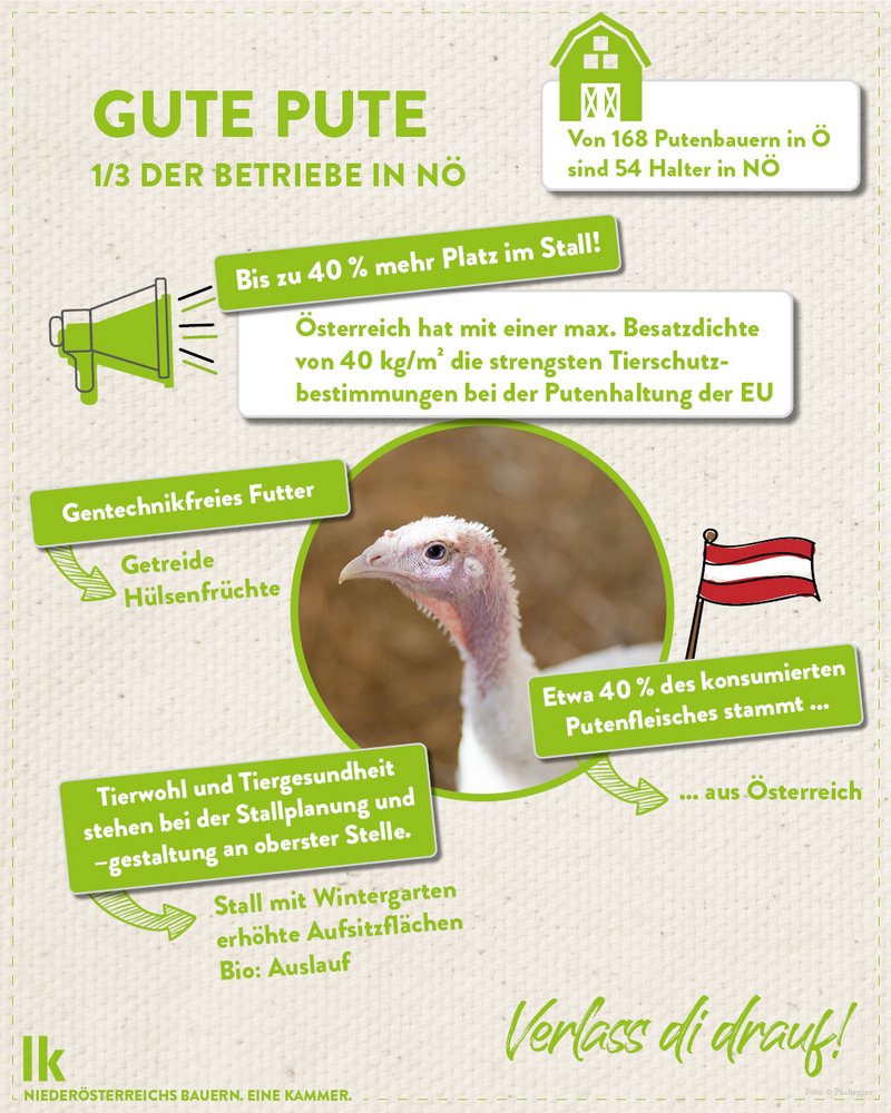 Infografik von Verlass di drauf der Landwirtschaftskammer Niederösterreich zur Pute