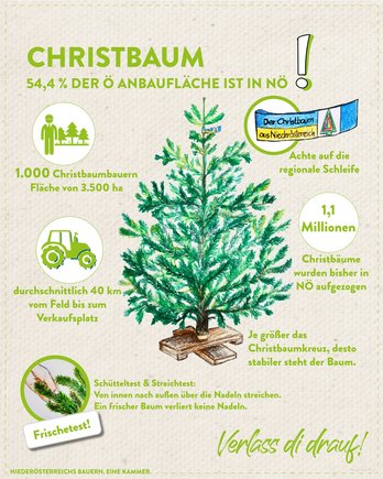 Infografik von Verlass di drauf der Landwirtschaftskammer Niederösterreich zum Christbaumanbau in Niederösterreich