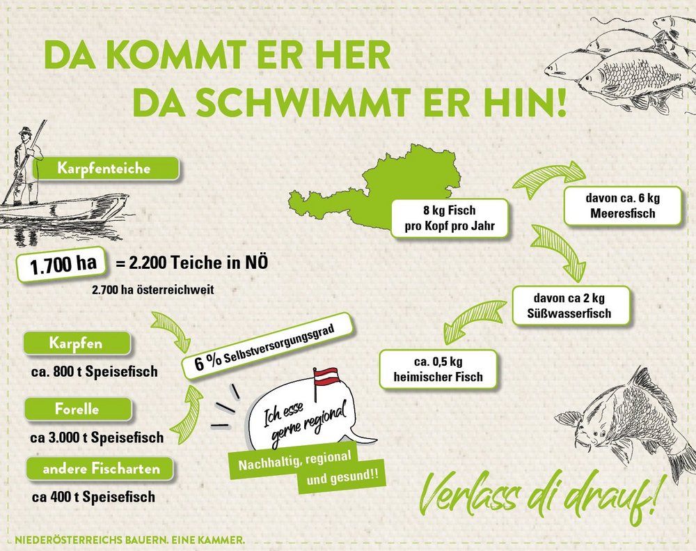 Infografik von Verlass di drauf der Landwirtschaftskammer Niederösterreich zu Fischkonsum und Haltung in Österreich