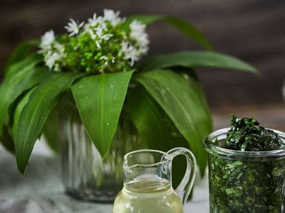 Bärlauchpesto im Glas mit Öl und Bärlauchblättern und Bärlauchblüten ©Elisabeth Heidegger/LK Niederösterreich