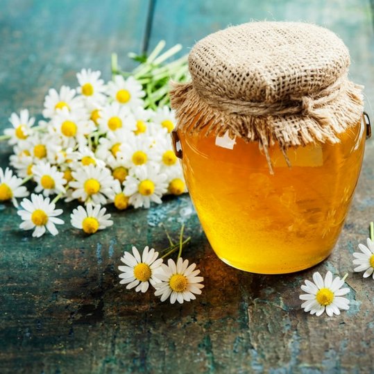 Gänseblümchen Gelee