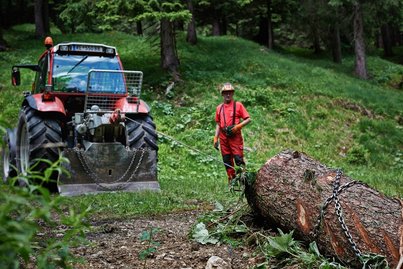 Maschinelle Holzverarbeitung ©BMLRT/Alexander Haiden