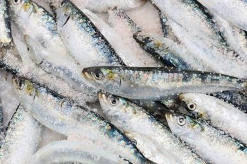 Sardinen am Markt mit Eis ©pixabay