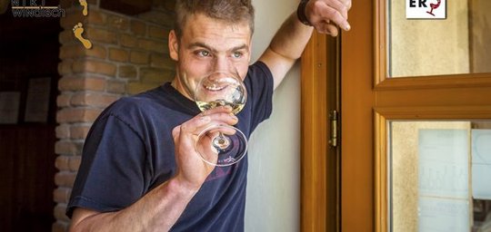 Weingut & Heuriger Niki Windisch Titelbild