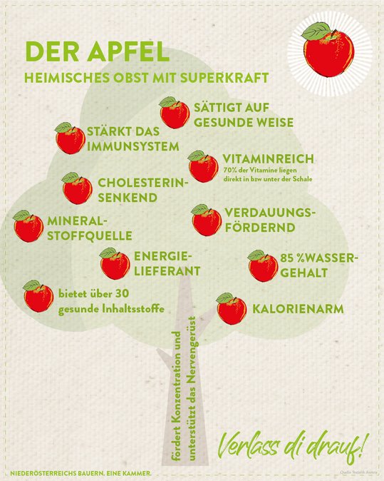 Infografik von Verlass di drauf der Landwirtschaftskammer Niederösterreich zum Apfel als heimisches gesundes Obst