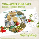 Der Weg vom Apfel am Apfelbaum zum Apfelsaft
