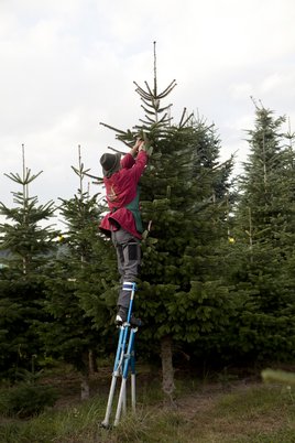 Arbeiten in luftiger Höhe mit Stelzen