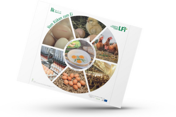 Mockup von dem Plakat mit rundem Kreis, wo die Schritte vom Ei zum Huhn abgebildet sind.