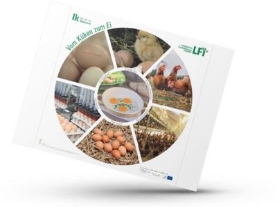 Mockup von dem Plakat mit rundem Kreis, wo die Schritte vom Ei zum Huhn abgebildet sind.