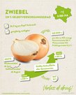 Infografik Zwiebel in Österreich