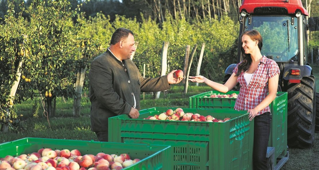 Zwei Personen stehen neben Boxen mit geernteten Äpfeln ©Alexander Haiden/LK Niederösterreich