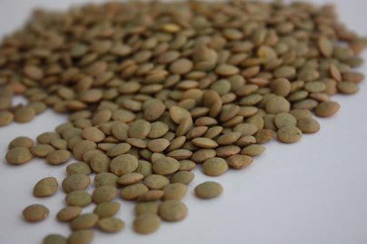 Braune Linsen oder Tellerlinsen