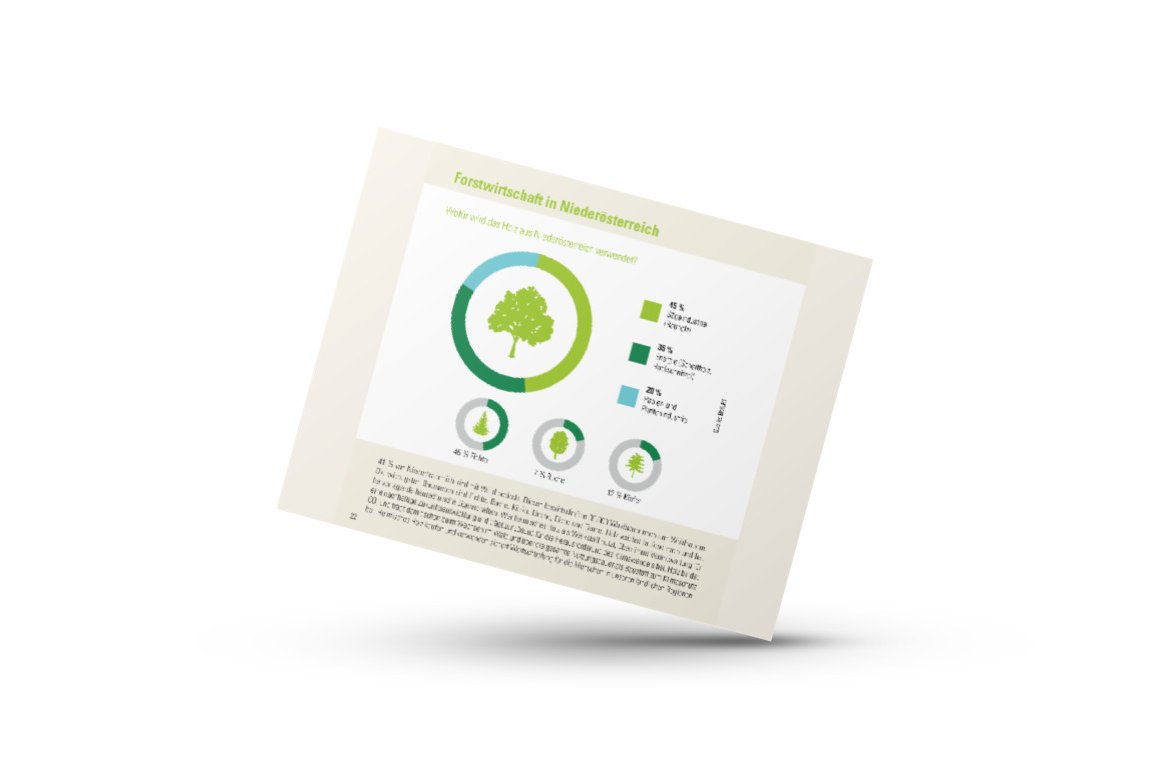 Mockup von Infografik der Zahlen-Daten-Broschüre der Landwirtschaftskammer Niederösterreich zur Waldfläche und Forstwirtschaft in Niederösterreich