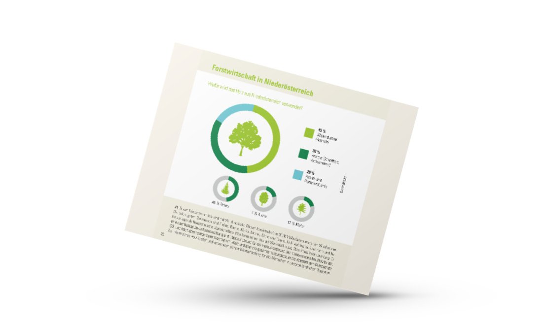 Mockup von Infografik der Zahlen-Daten-Broschüre der Landwirtschaftskammer Niederösterreich zur Waldfläche und Forstwirtschaft in Niederösterreich