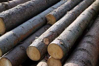 Sägeindustrie ©Fotoarchiv Forst/LK Niederösterreich