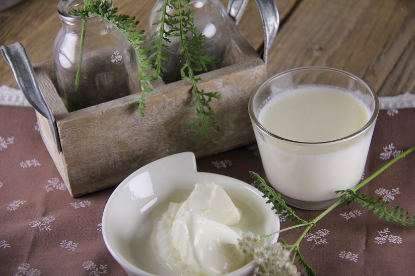 Kefir ©Elisabeth Heidegger/LK Niederösterreich