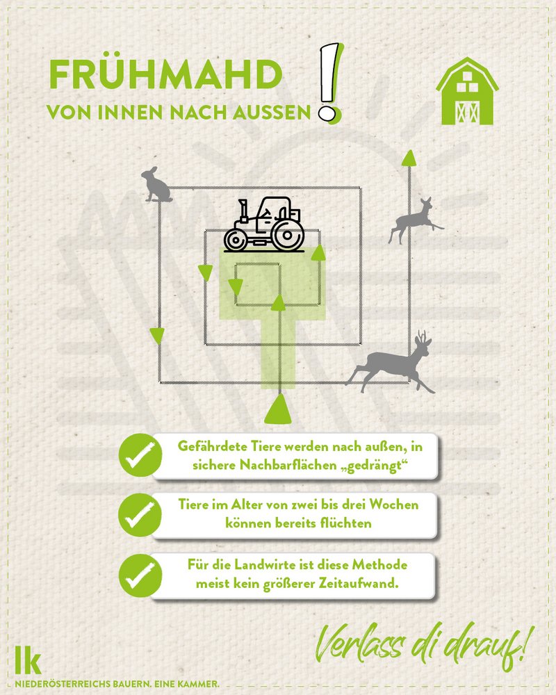 Infografik von Verlass di drauf der Landwirtschaftskammer Niederösterreich zur Frühmad