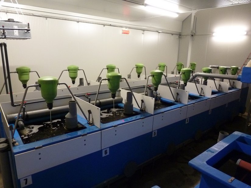 Warmwasserkreislaufanlage