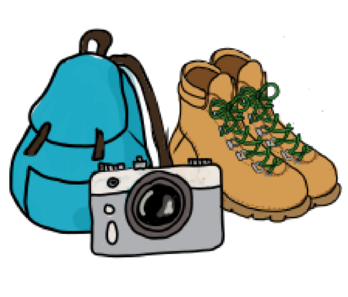 Wanderschuh mit Blumen daraus