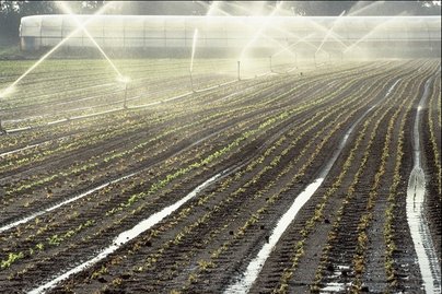 Bewässerung ©LK Oberösterreich