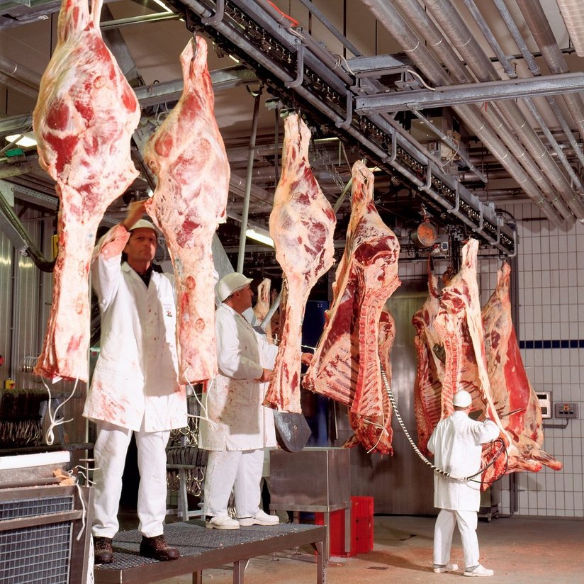 Tierärztliche Kontrolle von Rindfleisch ©AMA Marketing