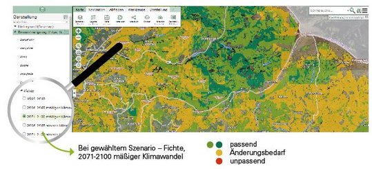 Einblick in das Online-Tool Dynamische Waldtypisierung