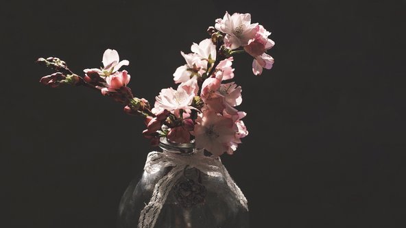 Blühende Kirschzweige im Glas ©pixabay