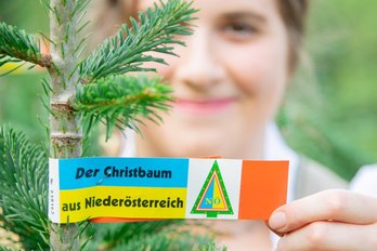 Christbaumkönigin Ricarda Reithner mit blau-gelber Herkunftsschleife
