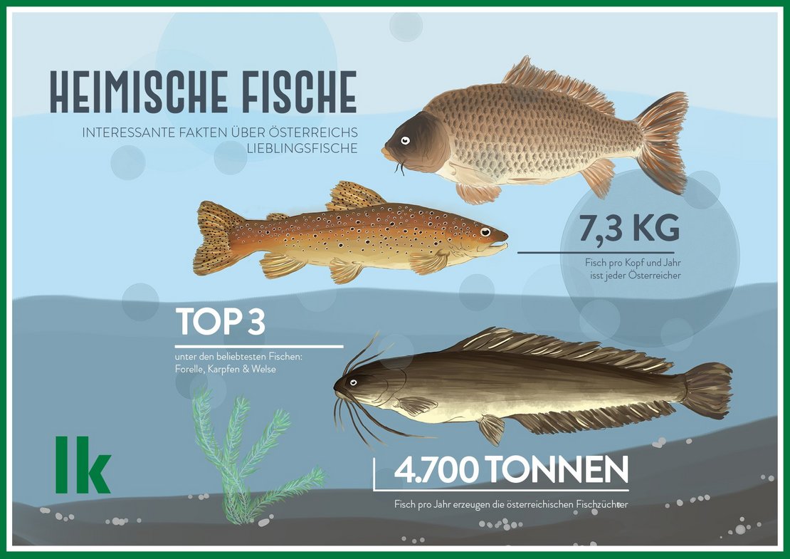 Infografik Heimische Fisch