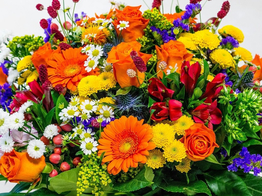 Gärtner mit Strauß roter Rosen