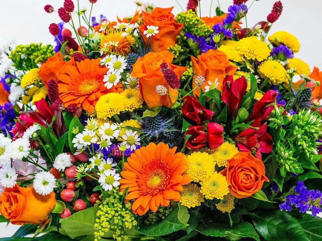 Gärtner mit Strauß roter Rosen