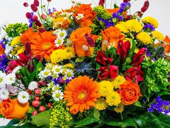 Gärtner mit Strauß roter Rosen