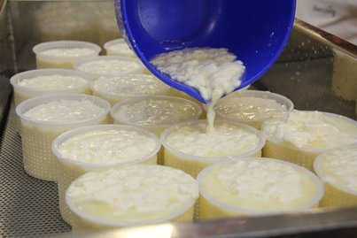 Die Formen haben auf der Seite Löcher, wo das überschüssige Wasser austreten kann. Dadurch wird der Käse fester. ©Elisabeth Heidegger/LK Niederösterreich