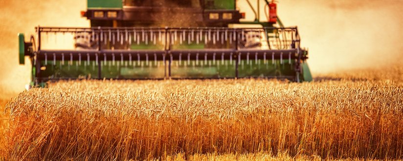 Mähdrescher ©Ingo Bartussek/stock.adobe.com_166236401