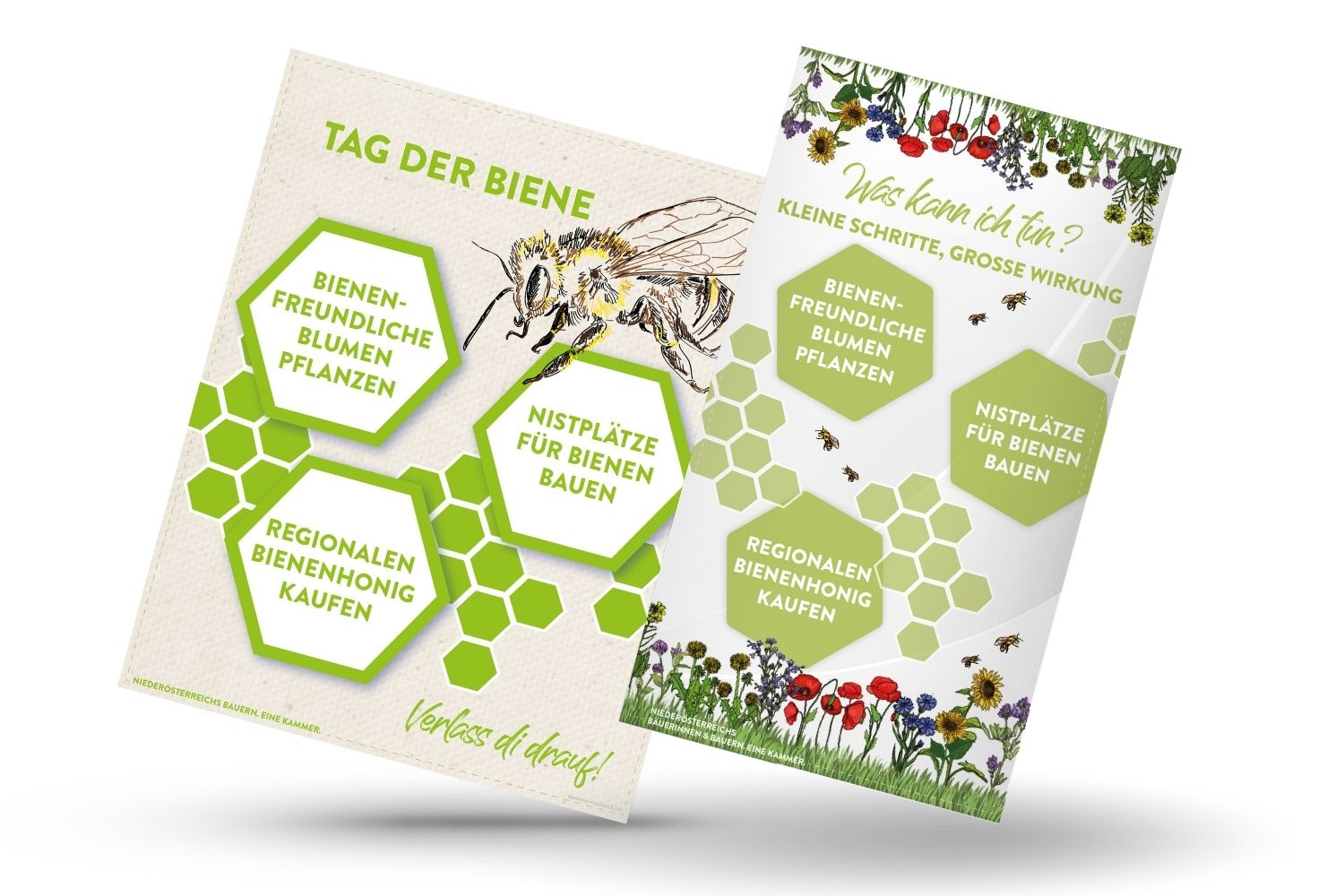 mockup Infografik von Verlass di drauf der Landwirtschaftskammer Niederösterreich zum Tag der Biene