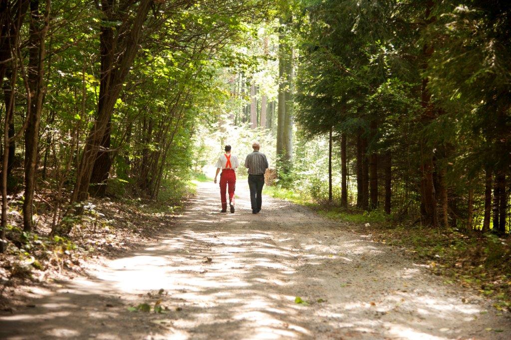 Menschen spazieren im Wald