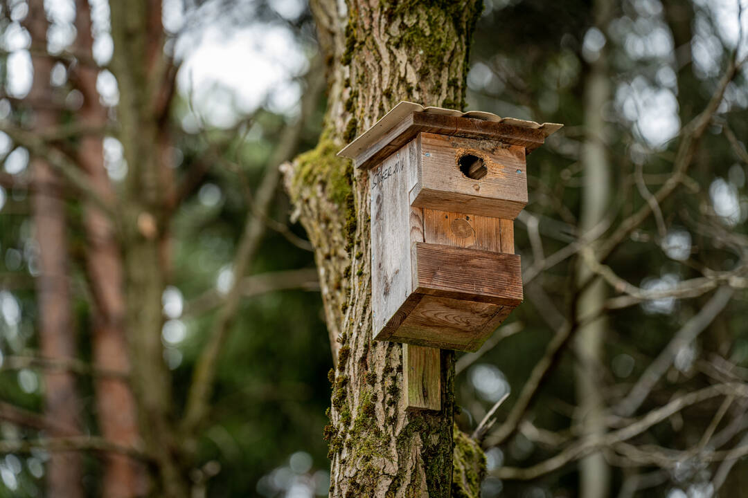 Nistkasten für Gartenvögel