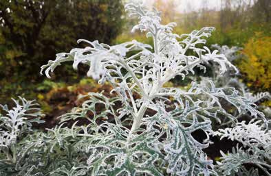 ©Eva Kail/LK Niederösterreich