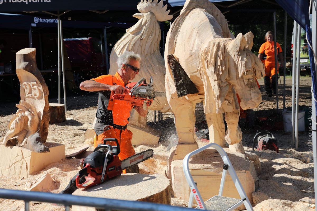 Wieselburger Messe - Land-Forst-Jagd Titelimage