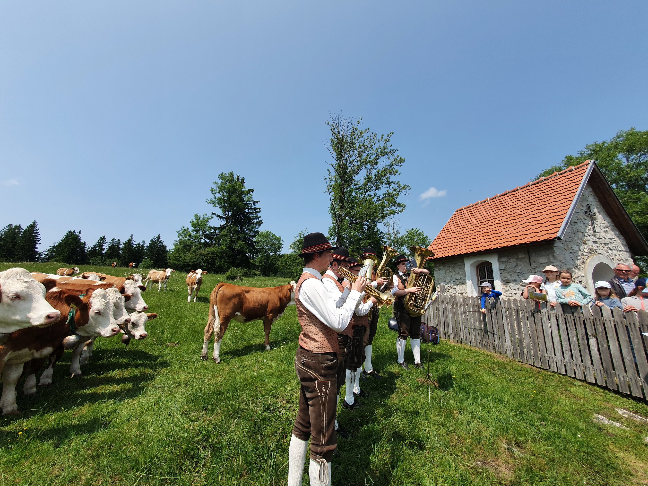 76. NÖ Almwandertag führt auf die Kapler Alm Titelimage