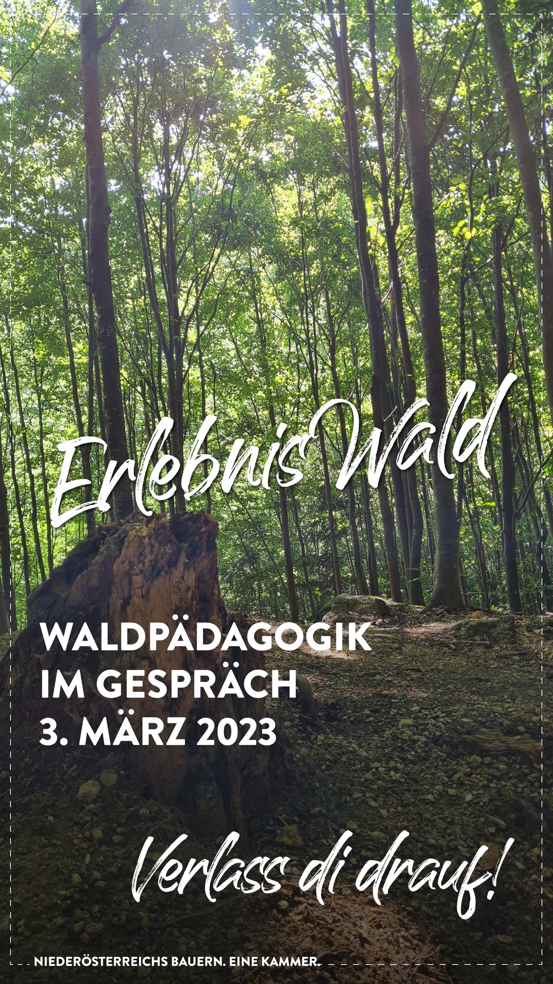 Waldpädagogik im Gespräch 2023 Titelimage